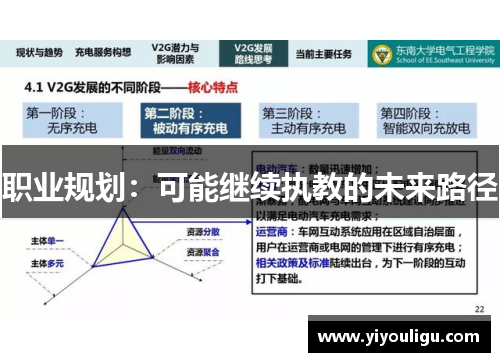 职业规划：可能继续执教的未来路径